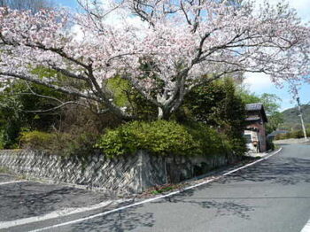 【売地】東広島市黒瀬町津江字イラスケ